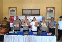 Kapolres Padang Lawas Bongkar Sindikat Ganja 44 Kg, Libatkan Residivis, Petani, hingga Pelajar di Bawah Umur