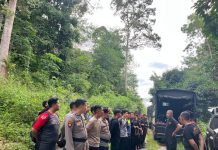 Brimob Polda Sumut Berhasil Bakar 10 Hektar Ladang Ganja di Mandailing Natal: Api Keadilan Menyala di Perbukitan Tor Sihite