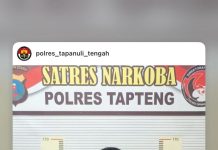 Polres Tapteng Ringkus ‘Kongo’, Pengedar Paket Lengkap Ganja dan Sabu di Lubuk Tukko