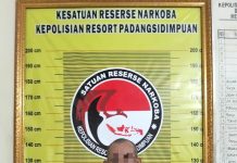 Pria 53 Tahun di Padangsidimpuan Ditangkap Saat Bawa 900 Gram Ganja di Jalinsum