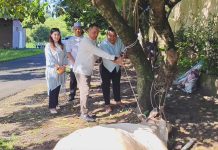 AKBP Mirzal Maulana SIK, SH, MM MH Pimpin Penyerahan Hewan Kurban, Polres Binjai Sembelih 7 Ekor Sapi dan 3 Kambing di Momentum Hari Raya Idul Adha 1447 H