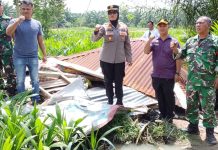 Polsek Binjai Gandeng TNI dan Kepala Desa Grebek Sarang Narkoba