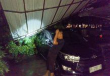 Ketua DPRD Medan: Pohon Tumbang Ringsekkan Dua Mobil Dinas, Lurah: Pohon Sudah Pernah Diusulkan untuk Dipangkas Belum Ada Tindakan Pemangkasan